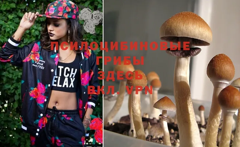 Галлюциногенные грибы MAGIC MUSHROOMS  ОМГ ОМГ онион  Орск 